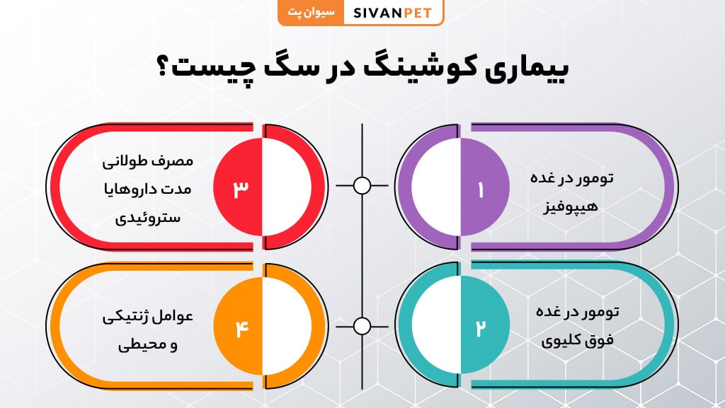بیماری کوشینگ در سگ