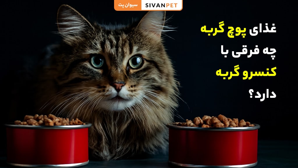 غذای پوچ گربه چه فرقی با کنسرو گربه دارد؟