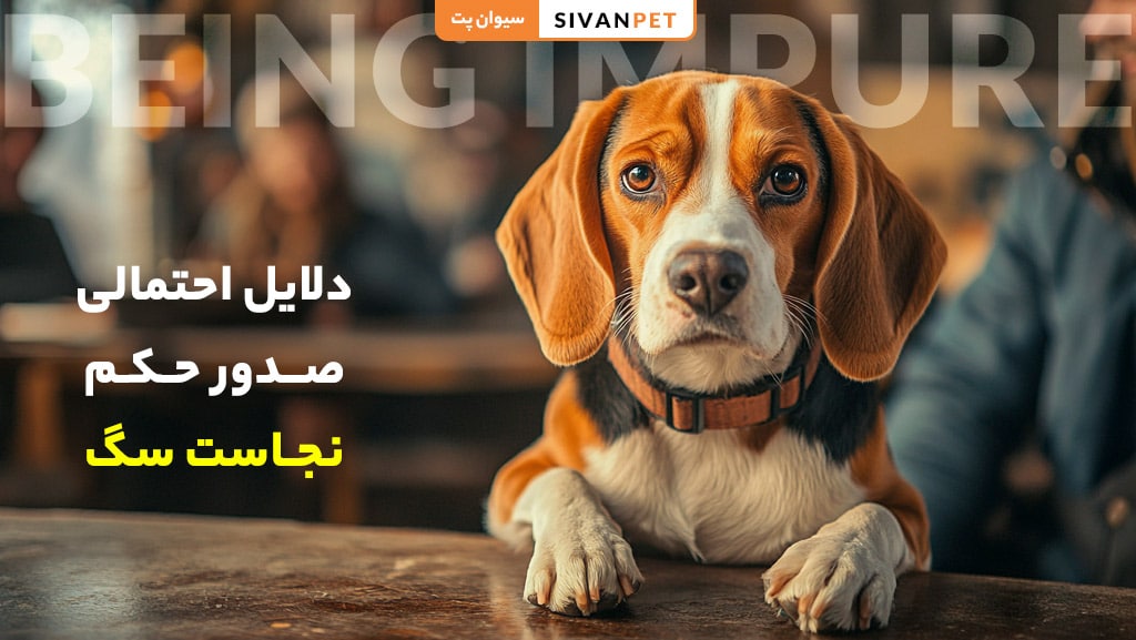 دلایل احتمالی صدور حکم نجاست سگ