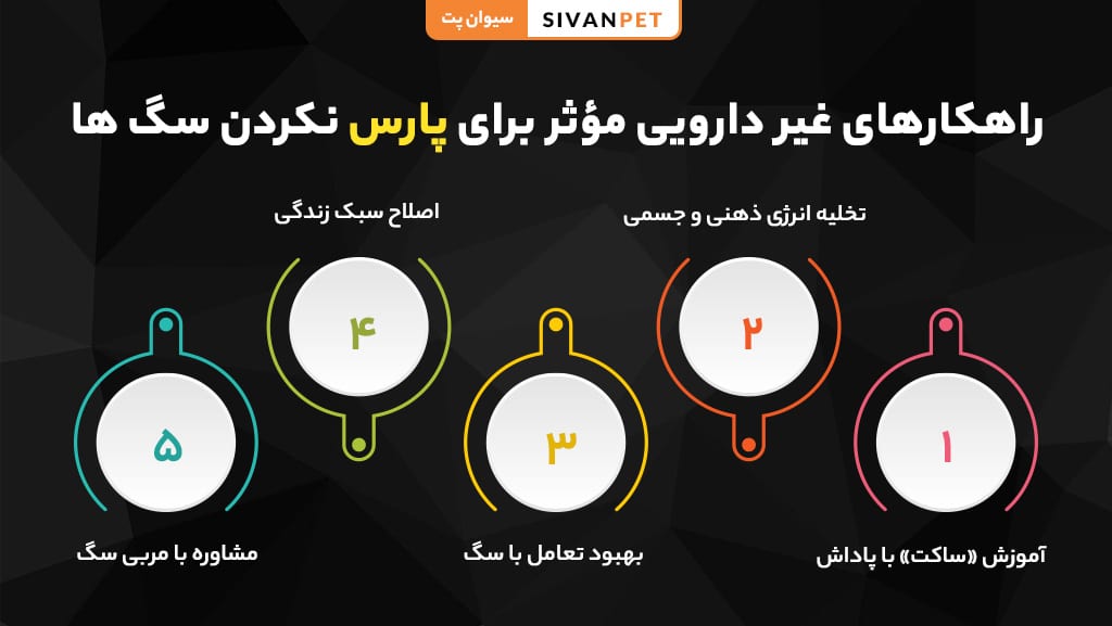 دارو برای پارس نکردن سگ