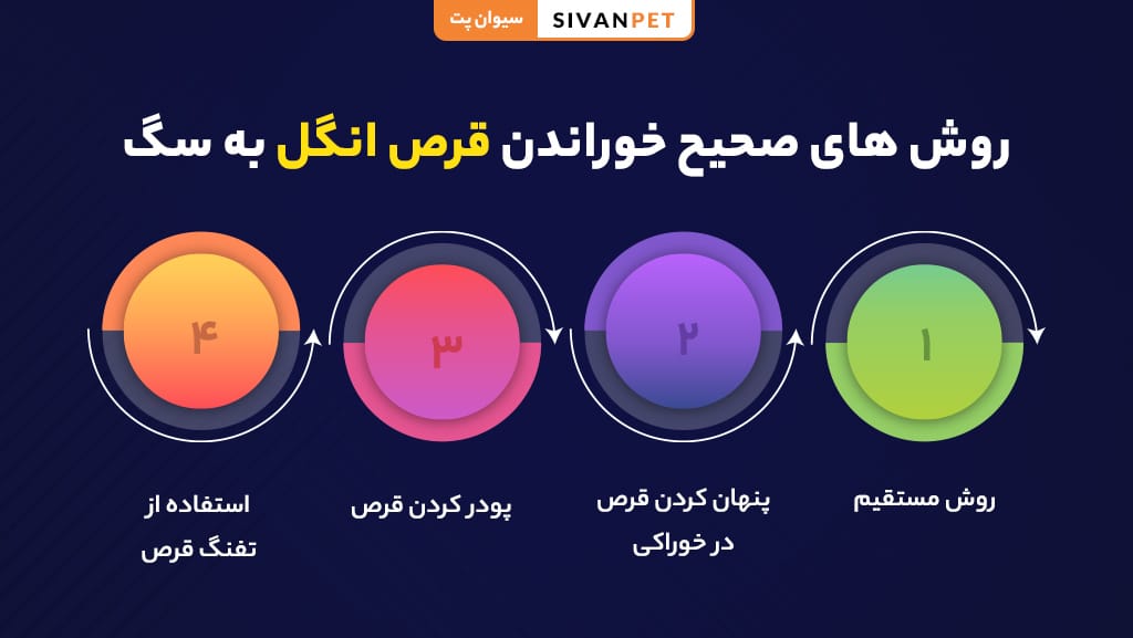 روش های صحیح خوراندن قرص انگل به سگ