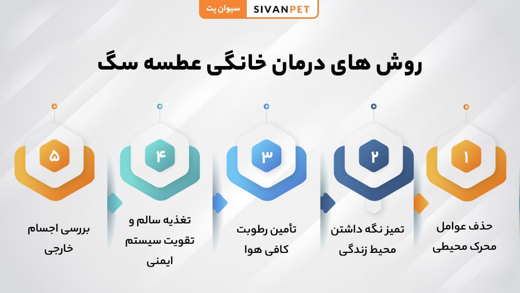 روش های درمان خانگی عطسه سگ