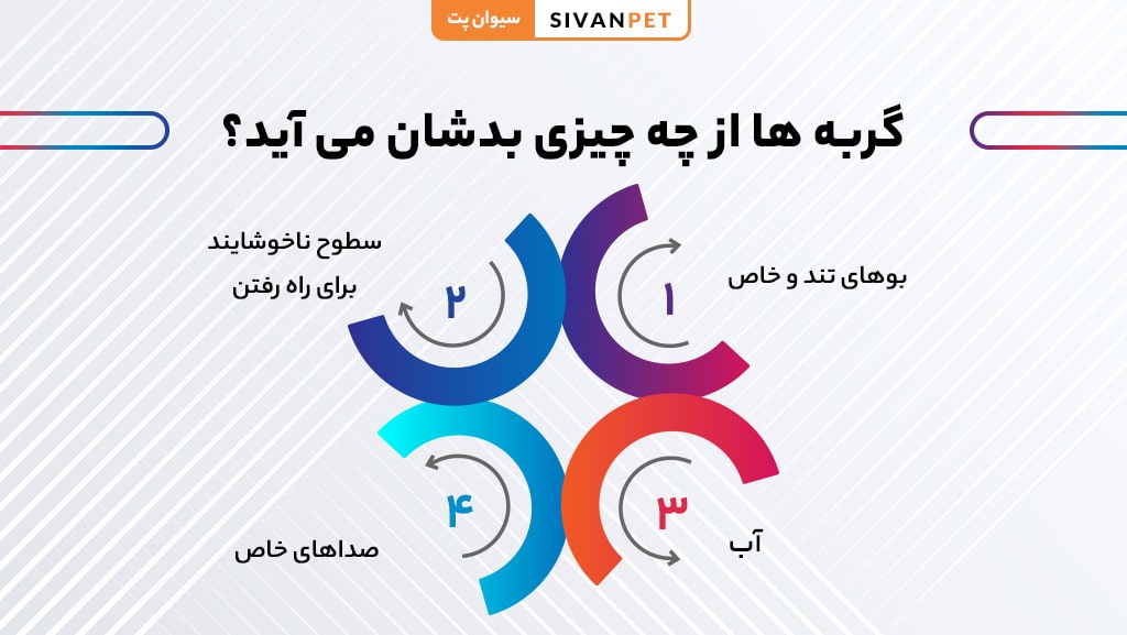 گربه ها از چه چیزی بدشان می آید؟