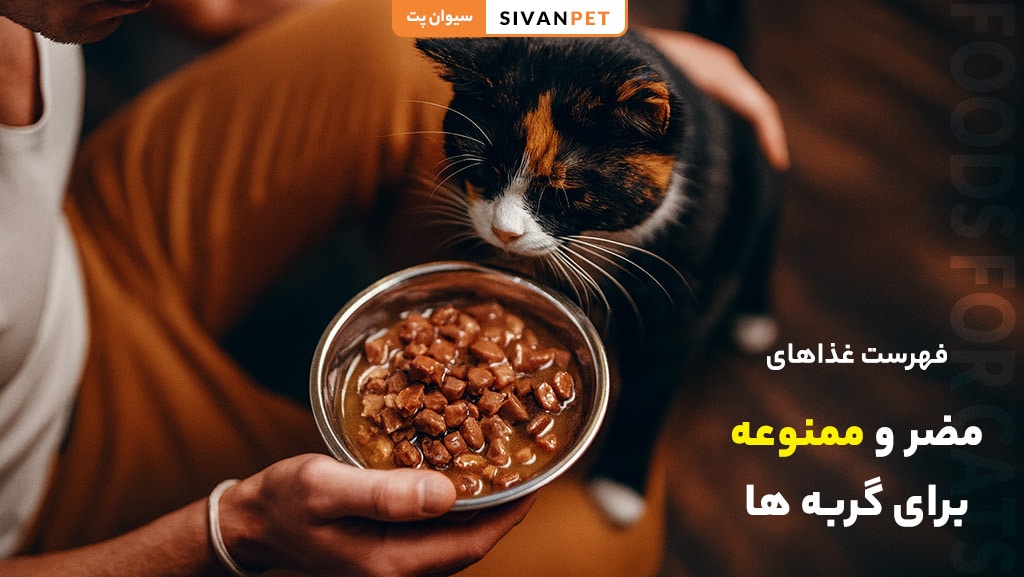فهرست کامل غذاهای مضر و ممنوعه برای گربه ها