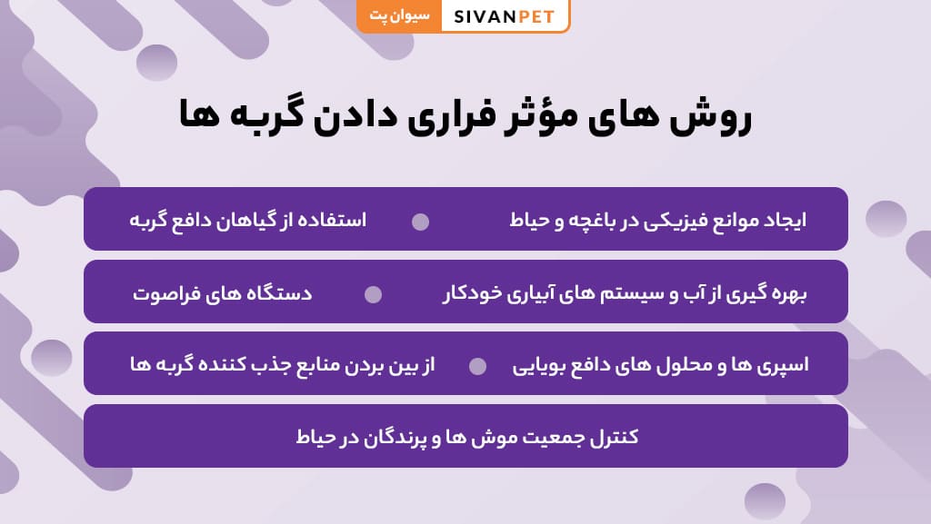 روش های مؤثر فراری دادن گربه ها