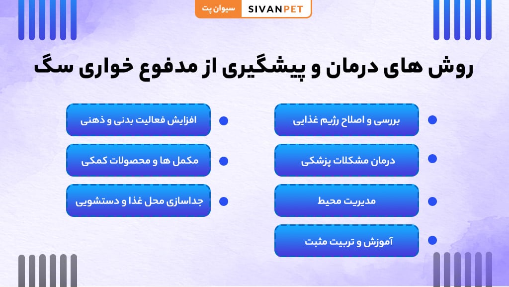 روش های درمان مدفوع خواری سگ