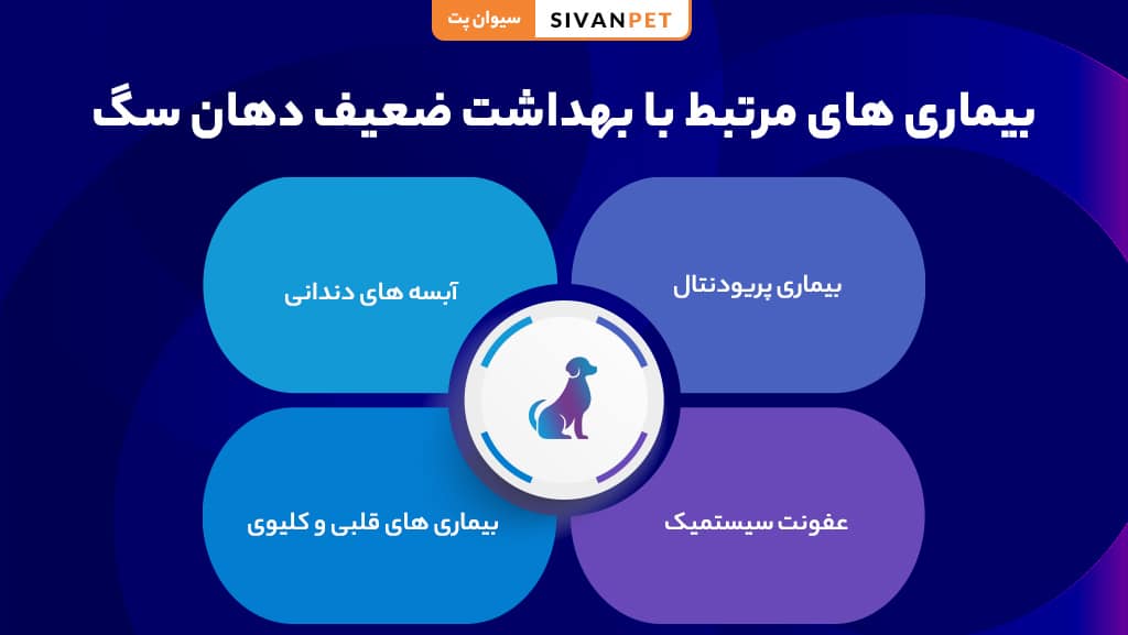 مراقبت از دندان سگ ها