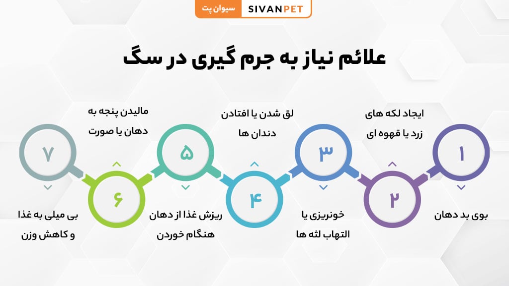 پلاک و جرم دندان در سگ چیست؟