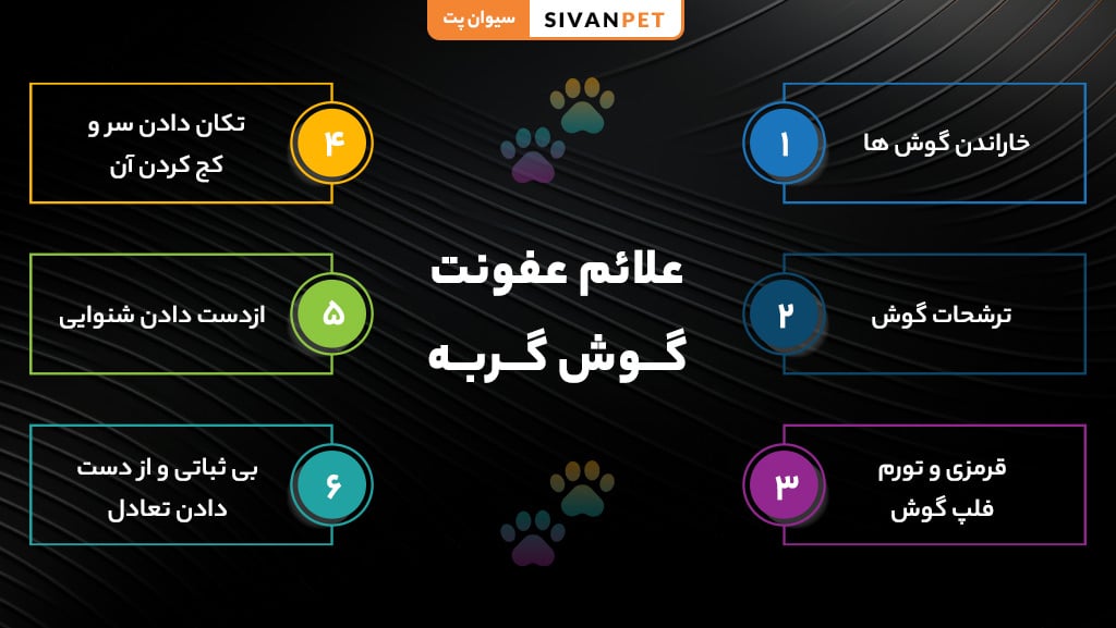 علائم عفونت گوش گربه