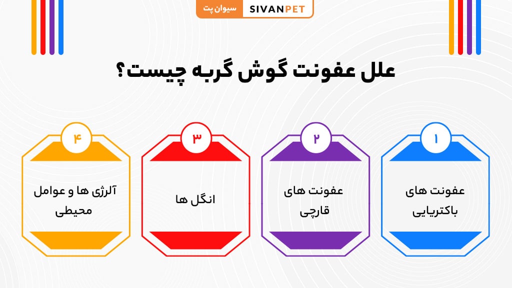 علل عفونت گوش گربه چیست؟