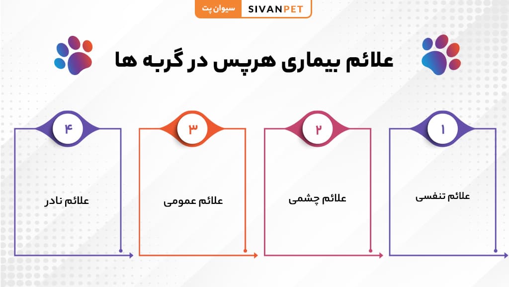 علائم بیماری هرپس در گربه ها