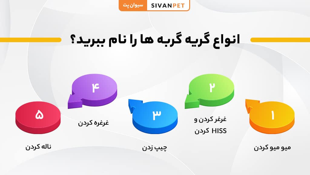 انواع گریه گربه