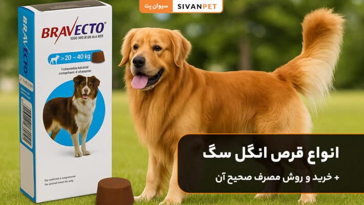 انواع قرص انگل سگ