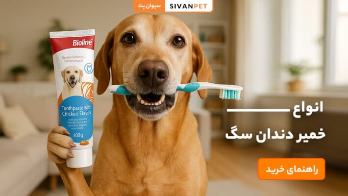 انواع خمیر دندان سگ