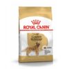 غذای خشک سگ بالغ گلدن رتریور رویال کنین 12 کیلوگرم Royal Canin Golden Retriever Adult