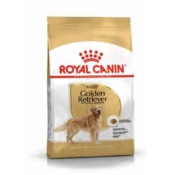 غذای خشک سگ بالغ گلدن رتریور رویال کنین 12 کیلوگرم Royal Canin Golden Retriever Adult