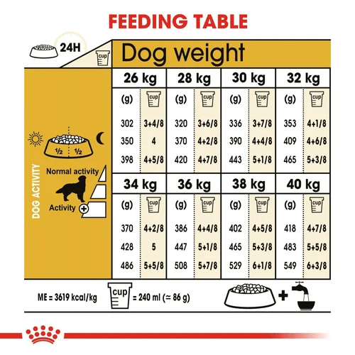 غذای خشک سگ بالغ گلدن رتریور رویال کنین Royal Canin Golden Retriever Adult