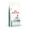 غذای خشک سگ دیابتیک رویال کنین 15 کیلوگرم Royal Canin Diabetic Dog