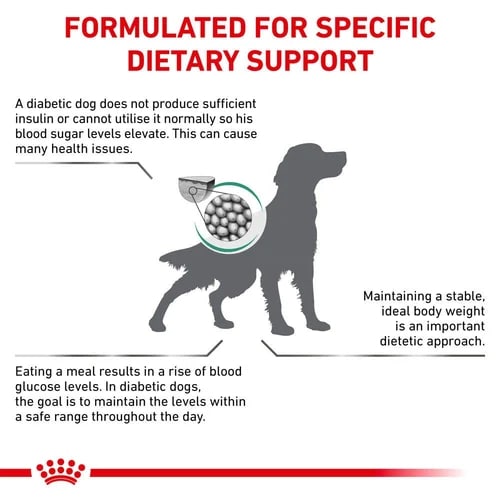 غذای خشک سگ دیابتیک رویال کنین Royal Canin Diabetic Dog