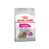 غذای خشک سگ مینی اگزیجنت رویال کنین مخصوص سگ بد غذا 3 کیلوگرم Royal Canin Mini Exigent