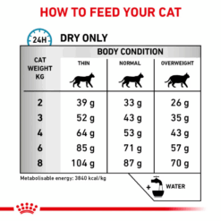 غذای خشک گربه رویال کنین تقویت پوست و مو کاهش ریزش مو Royal Canin Skin & Coat