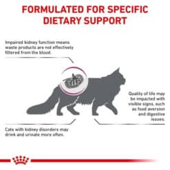 غذای خشک گربه رویال کنین رنال اسپشیال گربه برای درمان بیماری کلیه 2 کیلوگرم Veterinary Renal Special