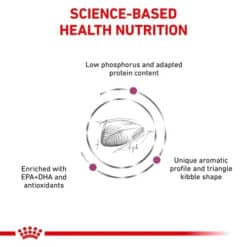 غذای خشک گربه رویال کنین رنال اسپشیال گربه برای درمان بیماری کلیه Royal Canin Veterinary Renal Special