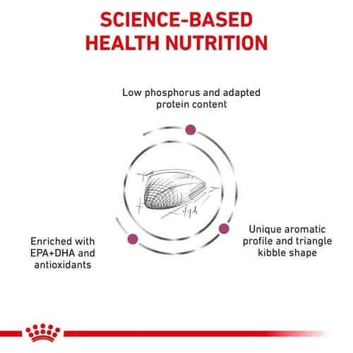 غذای خشک گربه رویال کنین رنال اسپشیال گربه برای درمان بیماری کلیه Royal Canin Veterinary Renal Special