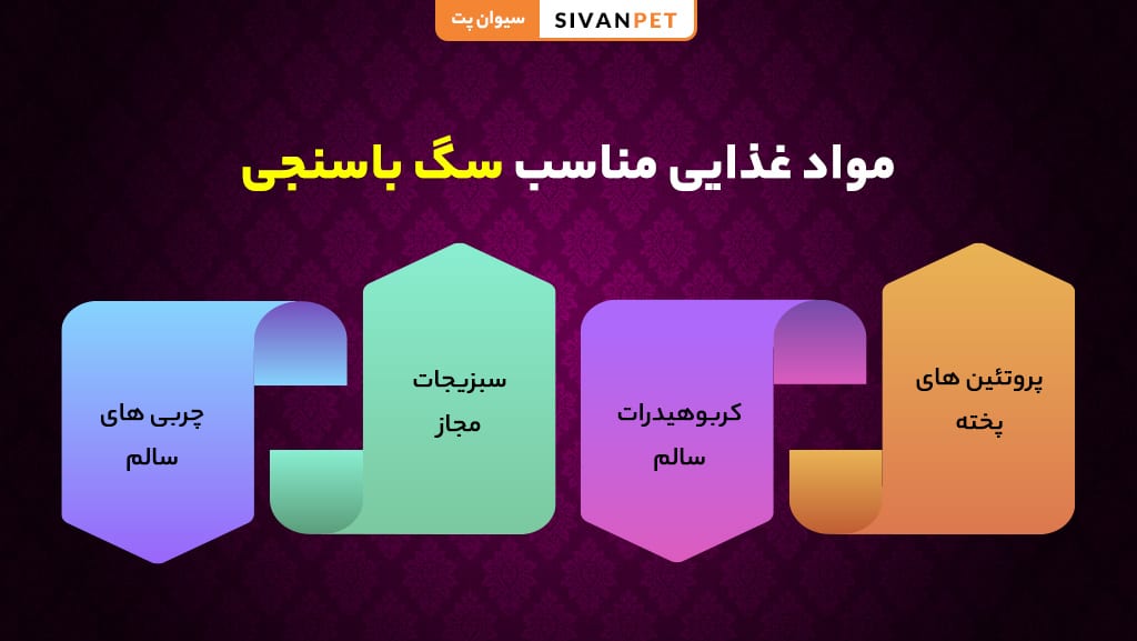 بهترین غذای خانگی برای سگ باسنجی