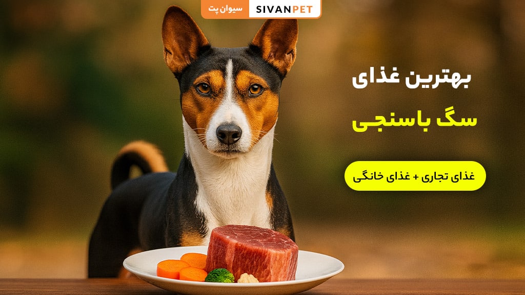 بهترین غذای سگ باسنجی