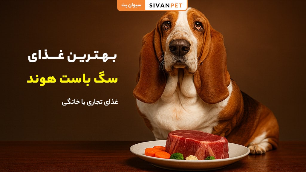 بهترین غذای سگ باست هوند