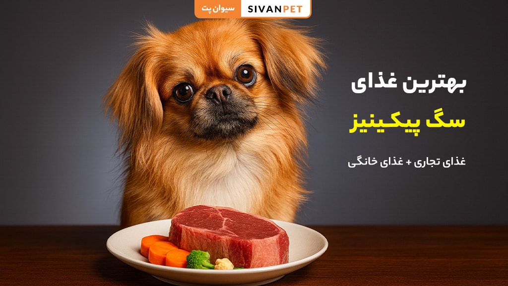 بهترین غذای سگ پیکینیز