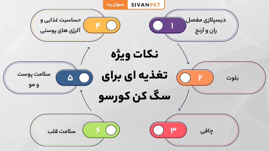 رژیم غذایی پیشنهادی برای مراحل مختلف زندگی سک کن کورسو