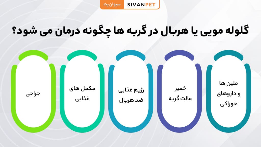 تشخیص گلوله مویی