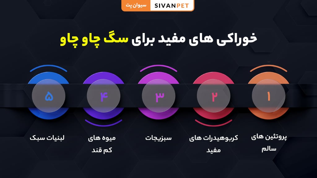 غذای خانگی سالم برای سگ چاو چاو