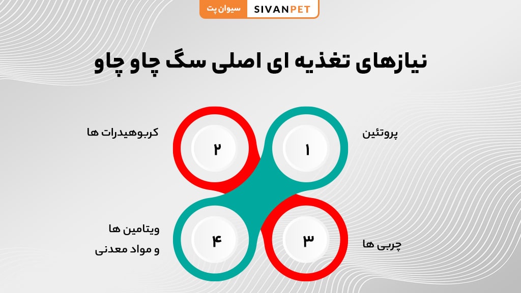 اهمیت تغذیه نژاد چاو چاو