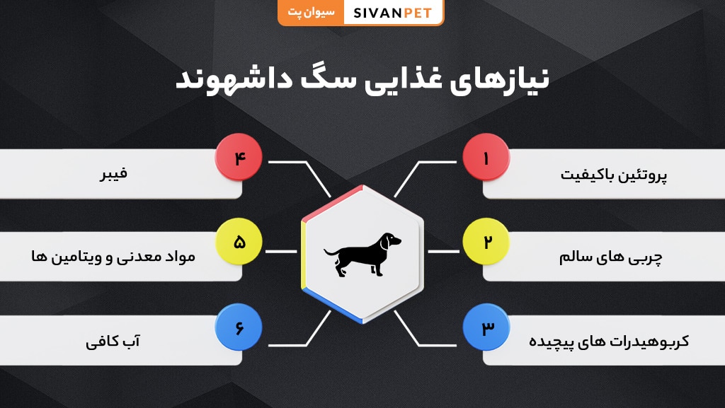 نیازهای غذایی سگ داشهوند