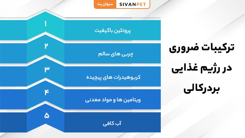نیازهای تغذیه ای سگ بردرکالی