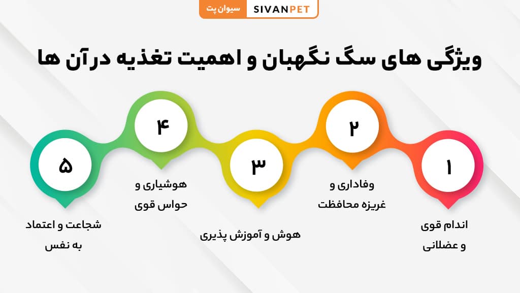 سگ نگهبان و اهمیت تغذیه در آن ها