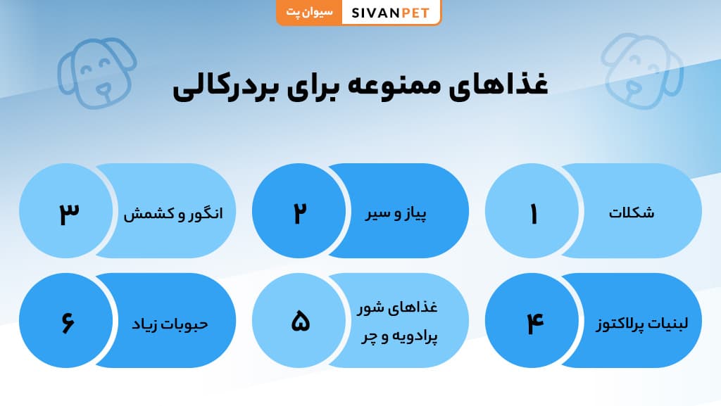 غذای تشویقی برای بردرکالی