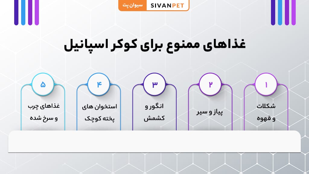 غذاهای خانگی مناسب کوکر اسپانیل