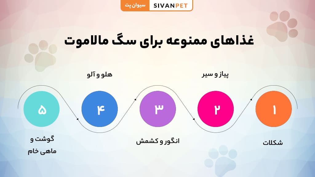 غذاهای ممنوعه برای سگ مالاموت