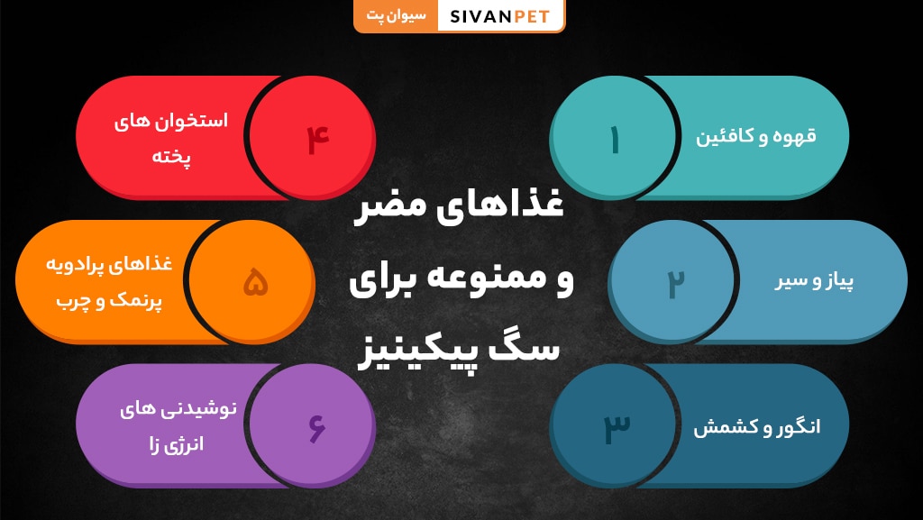 بهترین تشویقی ها برای سگ پیکینیز