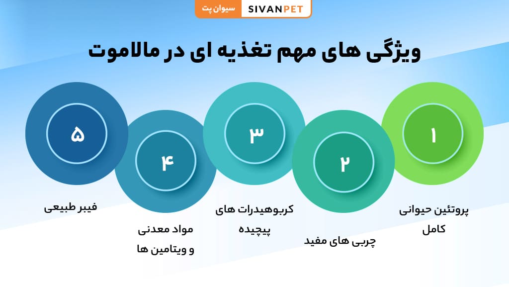 نیازهای تغذیه ای نژاد مالاموت