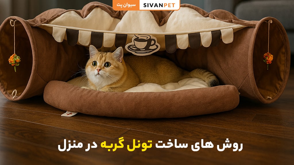 مزایای استفاده از تونل بازی گربه