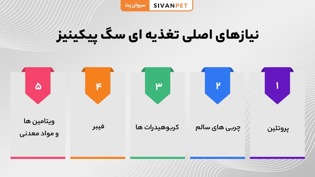 نیازهای اصلی تغذیه ای سگ پیکینیز