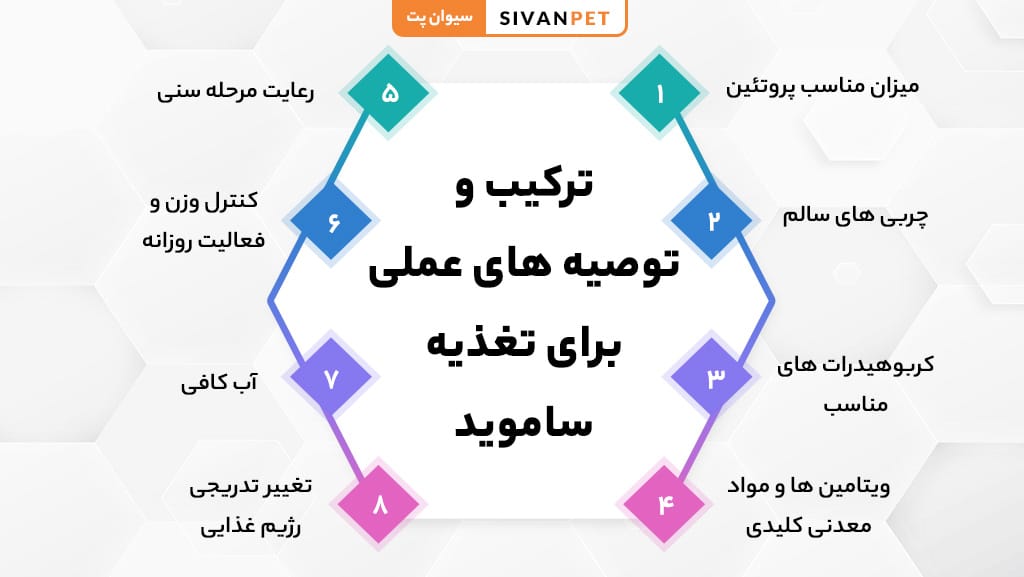 ترکیب و توصیه های عملی برای تغذیه ساموید