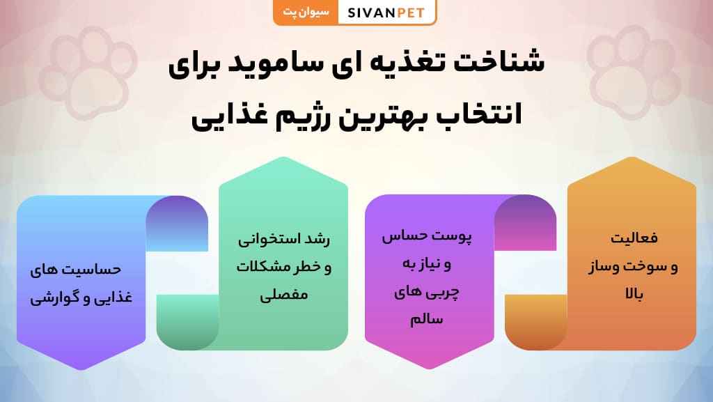 شناخت نیازهای تغذیه ای ساموید برای انتخاب بهترین رژیم غذایی