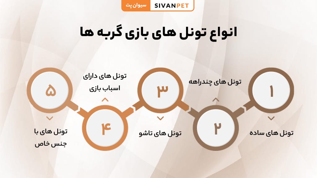 چرا تونل بازی برای گربه ها جذاب است؟