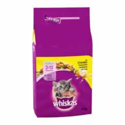 غذای خشک بچه گربه ویسکاس با طعم مرغ Whiskas Kitten Chicken وزن 2 کیلوگرم